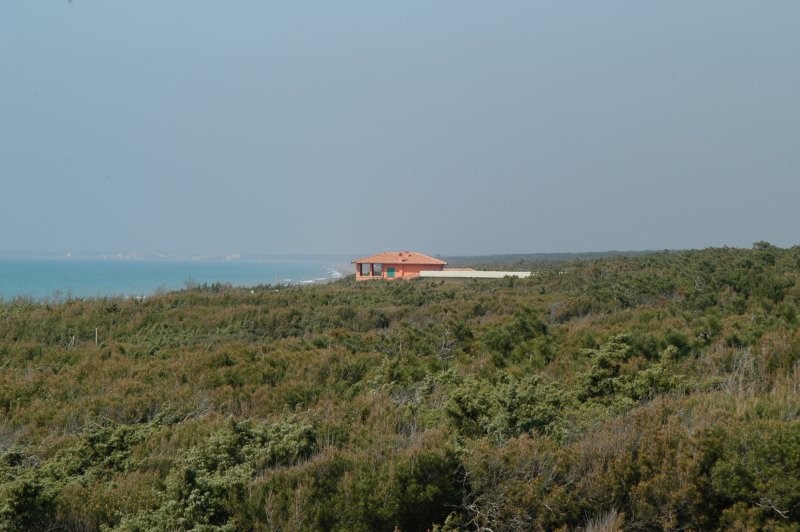 BIBBONA CAMPAGNA